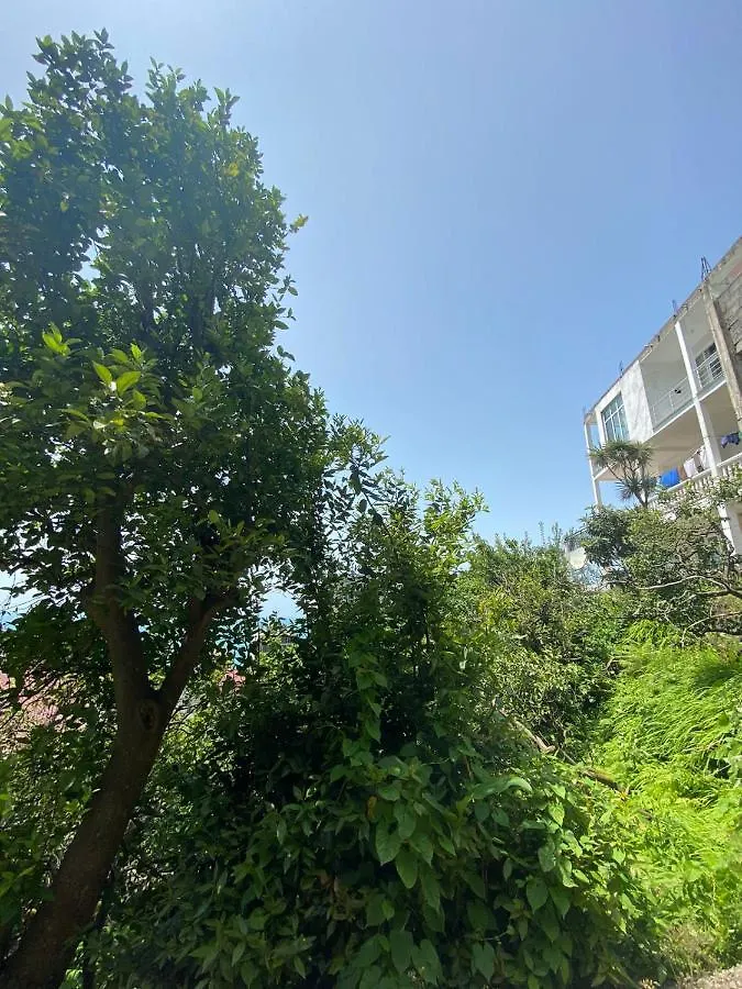 Temo'S Guest House In Квариати